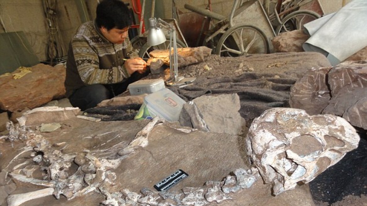Σπουδαία ανακάλυψη: Βρέθηκε άρτιος σκελετός δεινοσαύρου 72 εκατ. ετών